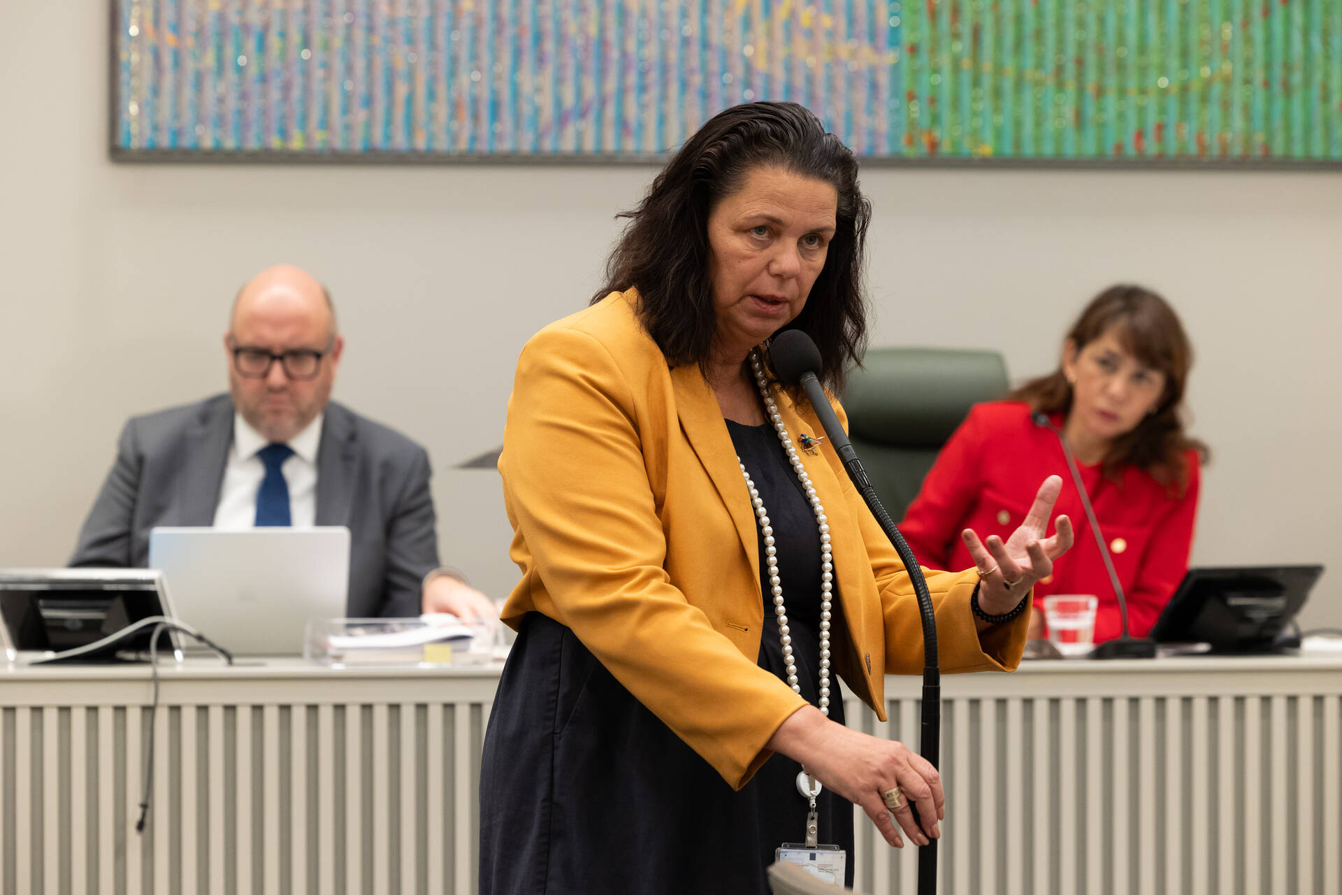 Senator Van Langen-Visbeek (BBB) bij de interruptiemicrofoon