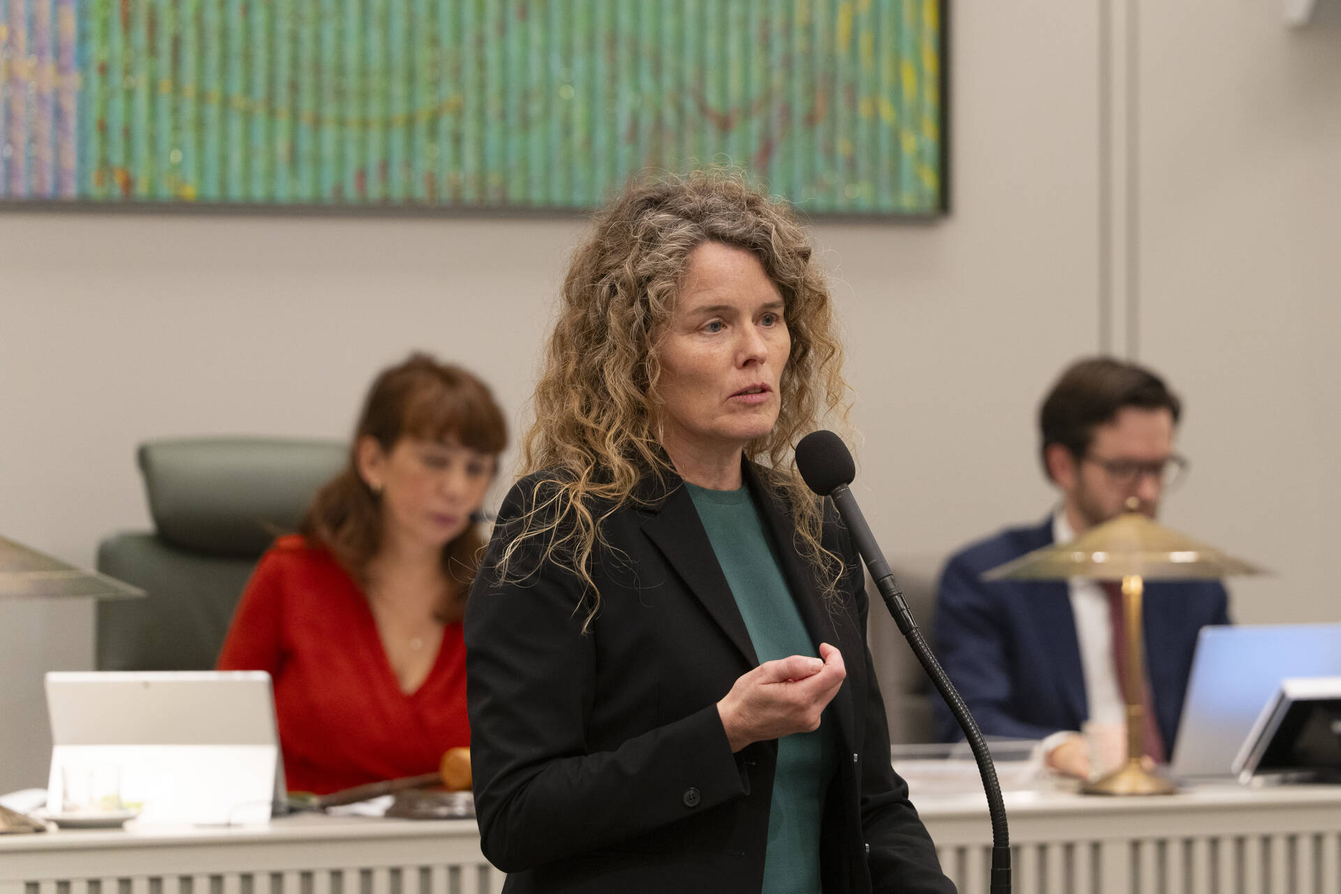 Senator Visseren-Hamakers (Fractie-Visseren-Hamakers)